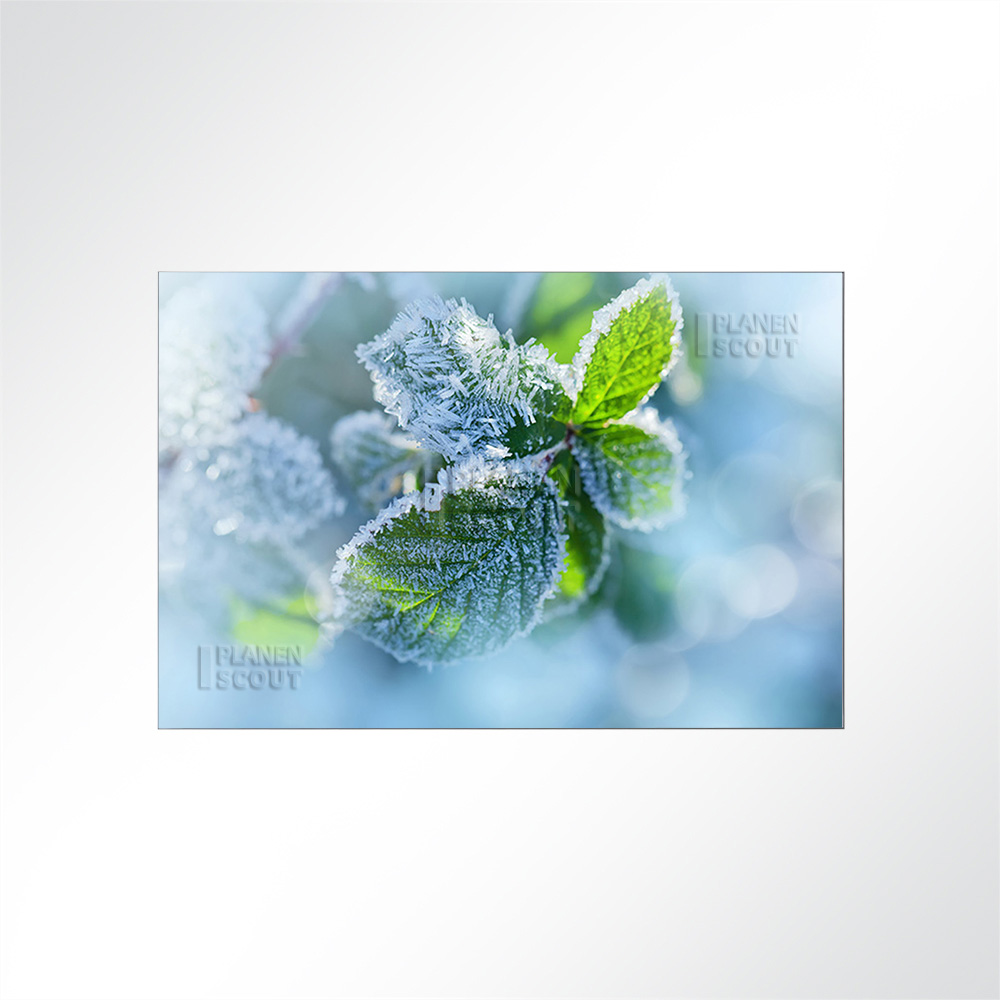 Artikelbild Absorberbild - Kräuter im Frost 50x50x5,5cm