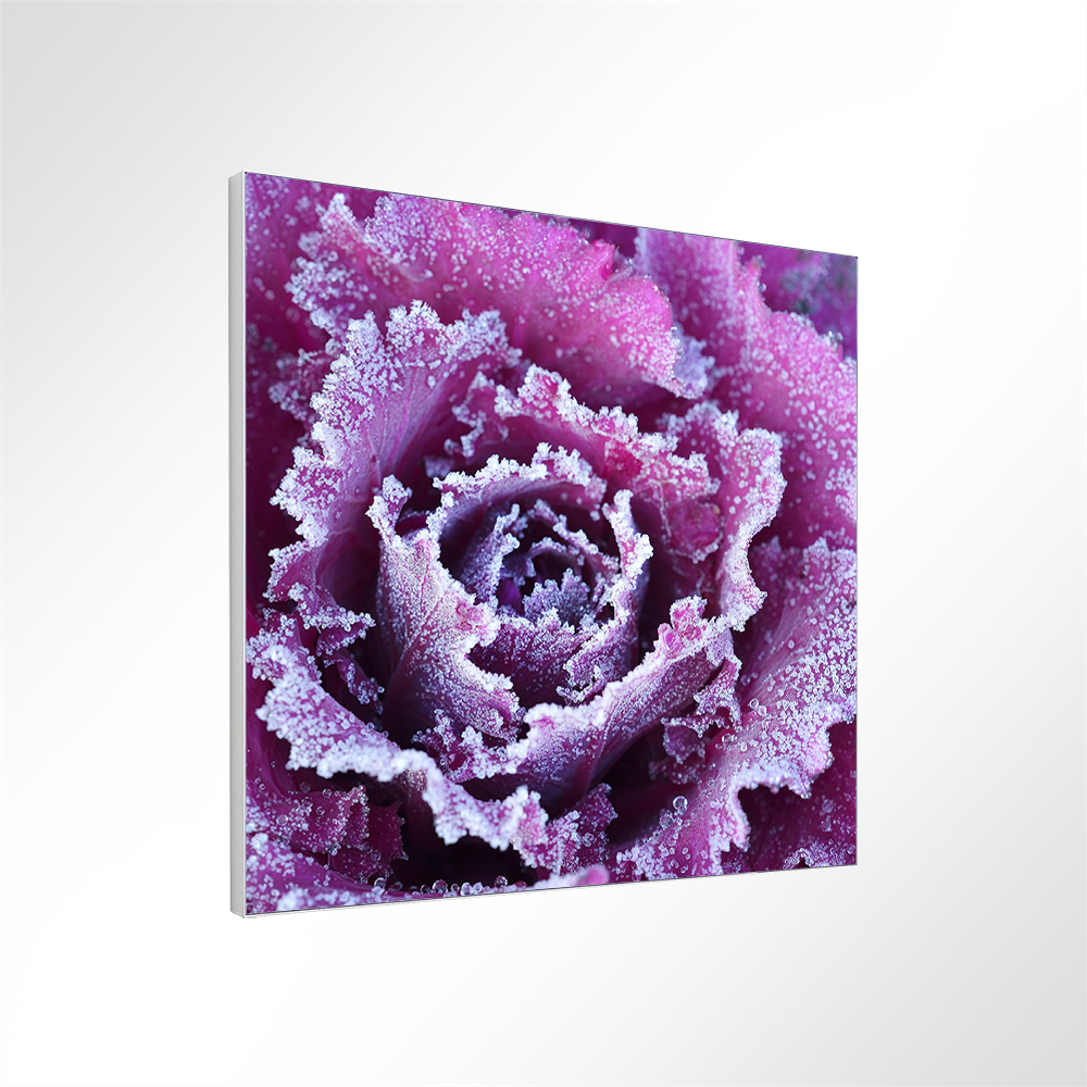 Artikelbild Absorberbild - Blüten im Frost 50x50x5,5cm