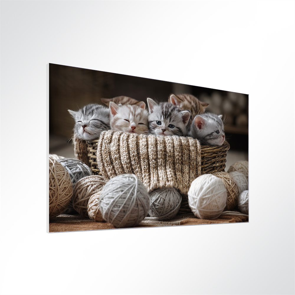 Artikelbild Absorberbild - Katzenbabys beim Kuscheln 50x50x5,5cm