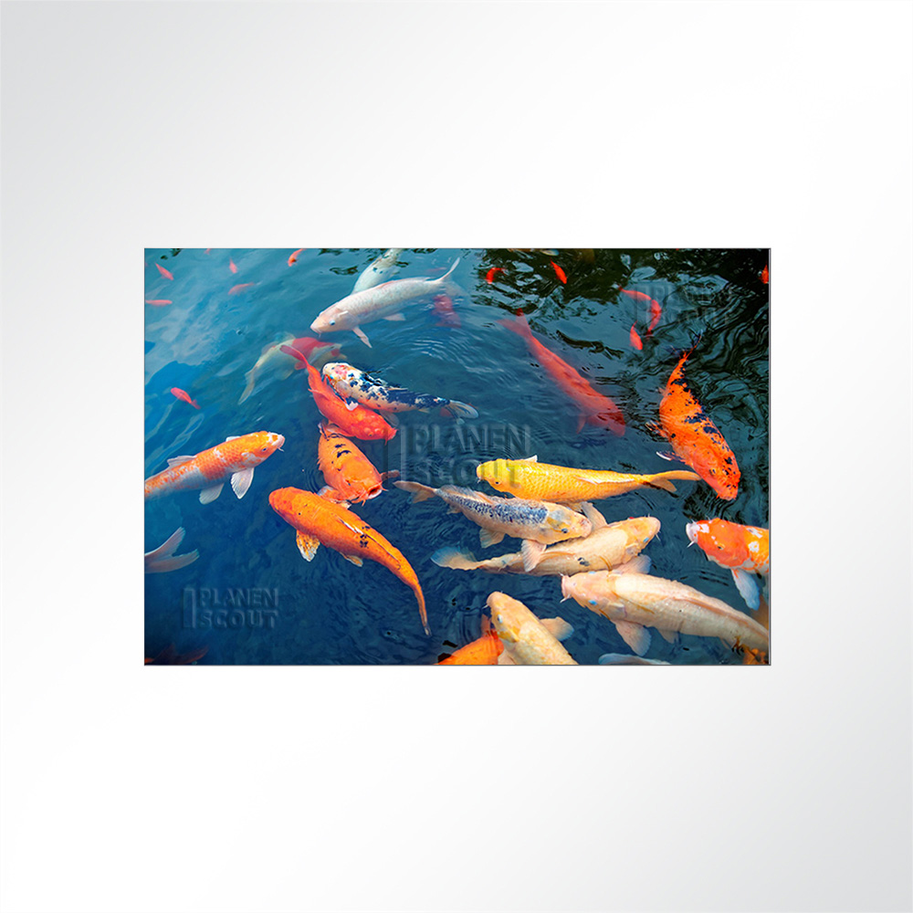 Artikelbild Absorberbild - Koi Fütterung 50x50x5,5cm