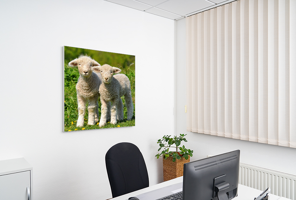 Artikelbild Absorberbild - Schäfchenzählen 50x50x5,5cm