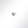 Vorschau Zapfen Messing vernickelt mit 16mm Edelstahlschraube #8 selbstschneidend grau